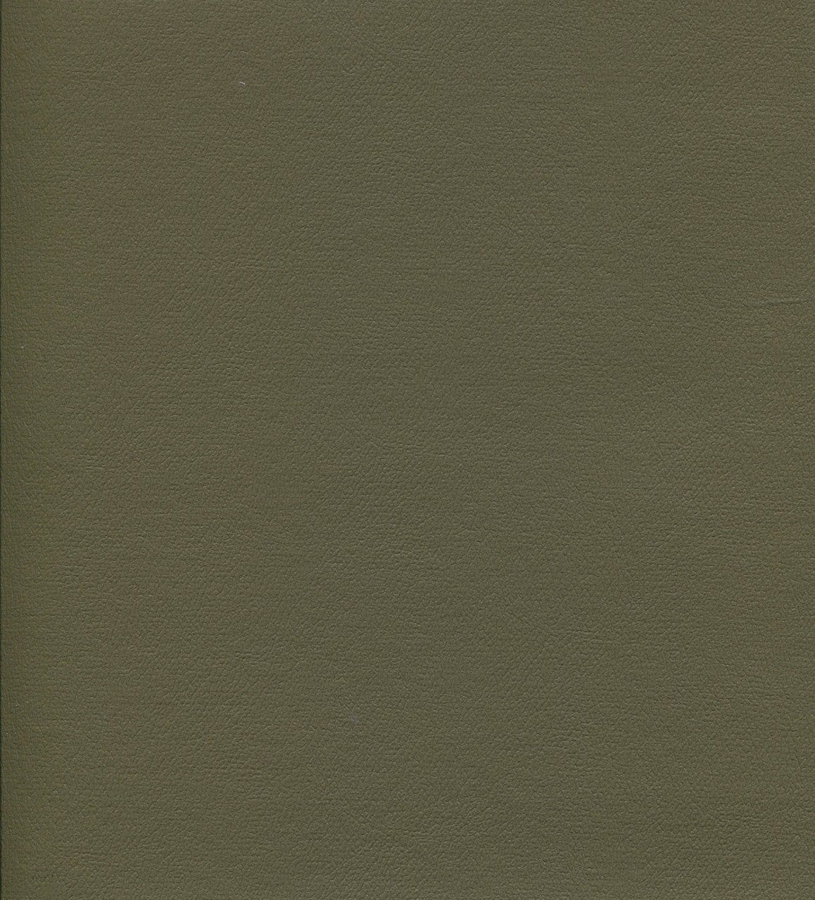 Eucalyptus ind-8638