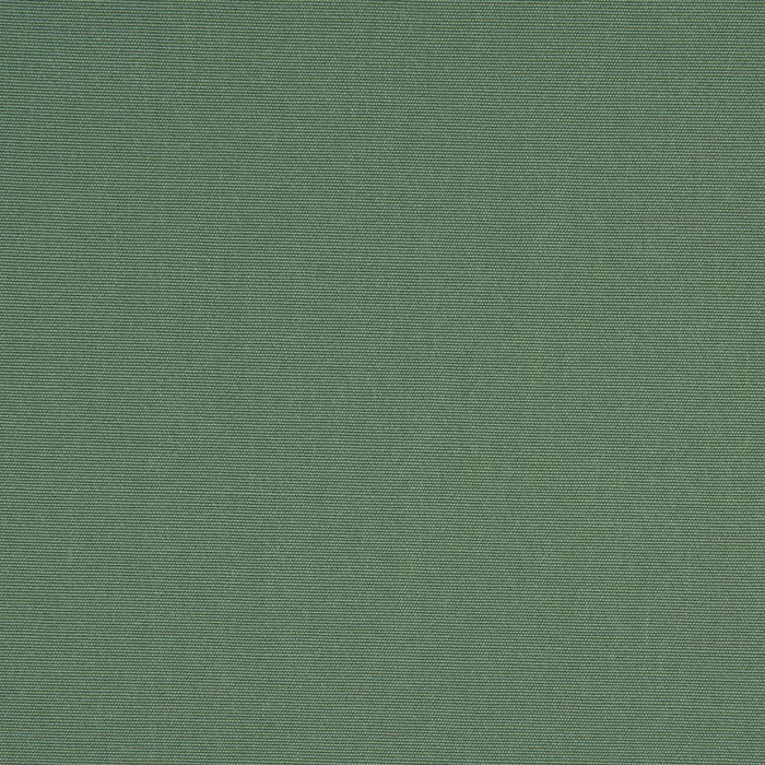 Spruce
