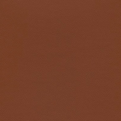 Chocolate  ind-8607
