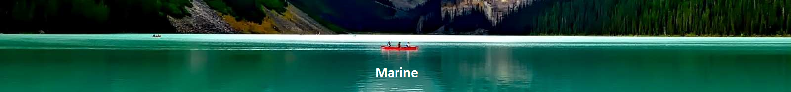 marine2.bmp