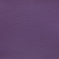Windsong Asian Plum