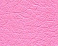 Denali #37 Pink