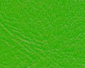 Denali #38 Lime Green
