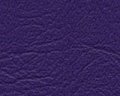 Denali #39 Purple