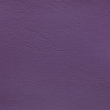 Windsong Asian Plum