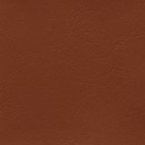 Windsong Cajun Spice