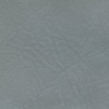 Harbor Gray