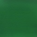 Windsong Palm Green