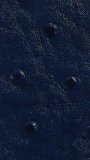 Ostrich Sapphire