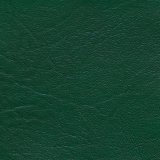 Sea Frost