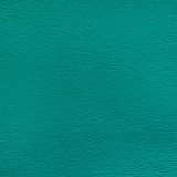 Windsong Teal Waters