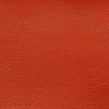 Windsong Tropical Red