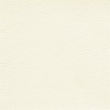 Windsong White Cap