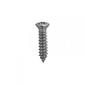 Philips Oval Head tapping screw #8 x3/4 inch #6 Hd chrome (100 pcs)