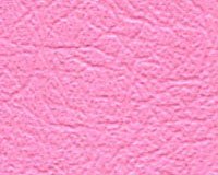  Denali #37 Pink