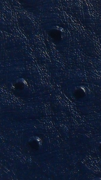 Ostrich Sapphire